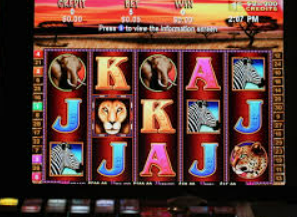 摇钱树捕鱼下载正式版